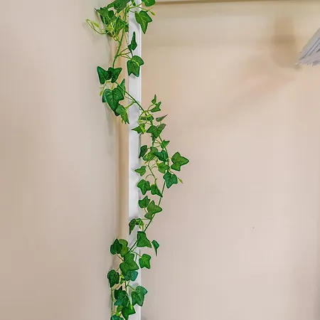 Linos House Δωμάτια σε οικογενειακή κατοικία