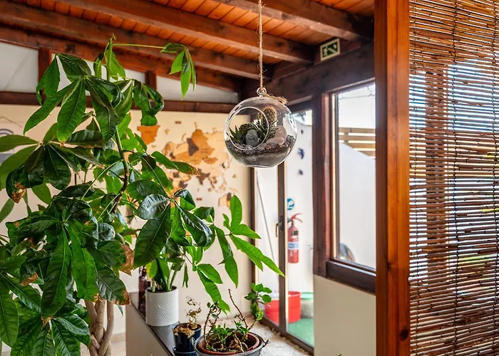 Linos House ホームステイ アトウギア・ダ・バレイア