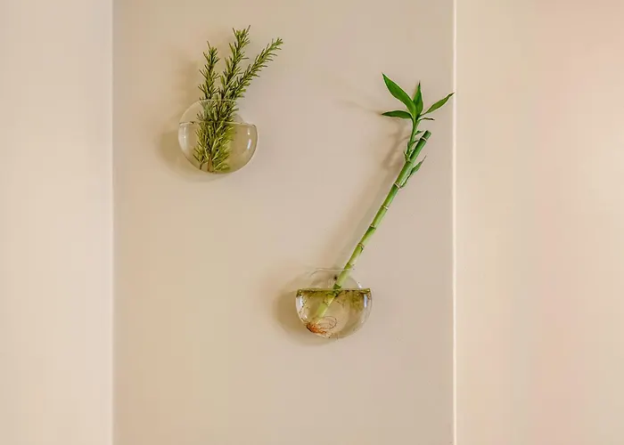 Linos House * アトウギア・ダ・バレイア